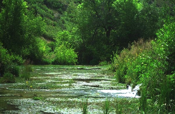 Cascade Springs, Uintah National Forest, Utah